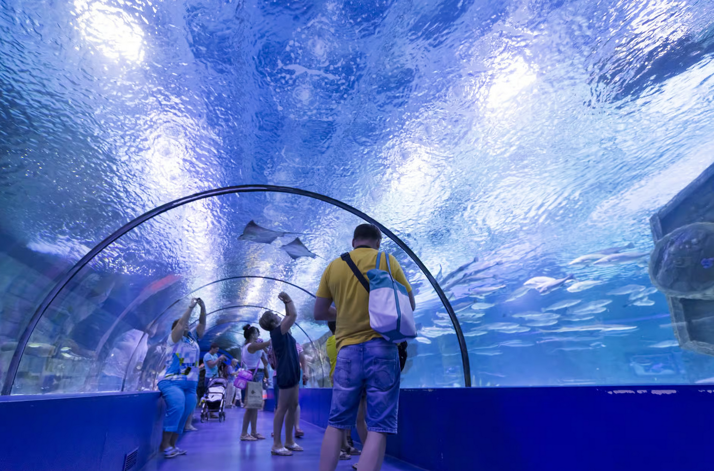 Antalya Aquarium Tour, Ticket And Transfer